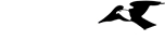 Wild Mountain logo
