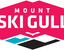 Mount Ski Gull logo